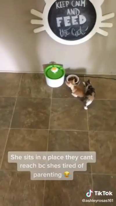 The face of regret