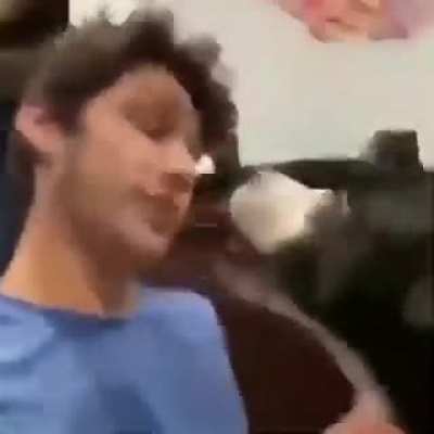 ¿Are you gay bro?