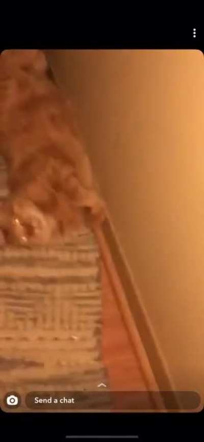 AEEEHHH