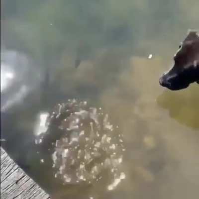 Maybe maybe maybe