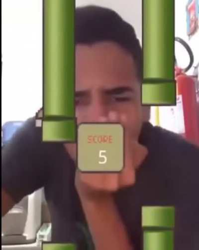 blursed flappy bird