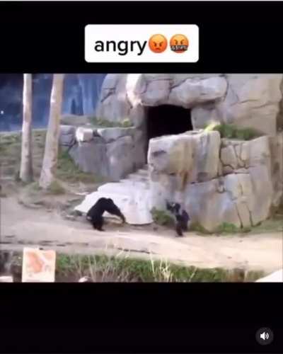 4 moods