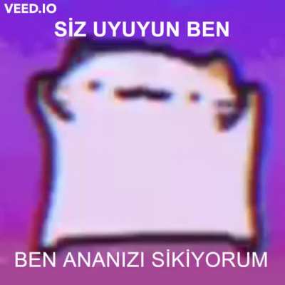 SİZ UYUYUN BEN