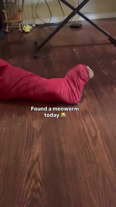 Meoworm