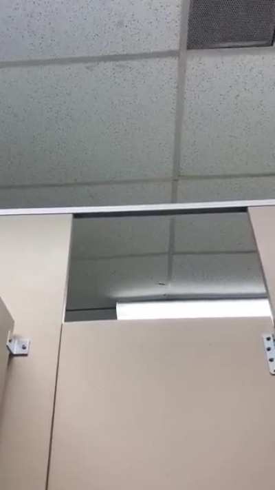Didn’t Know my Ex Could Fly