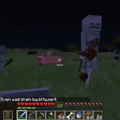 Rip Doggo :((