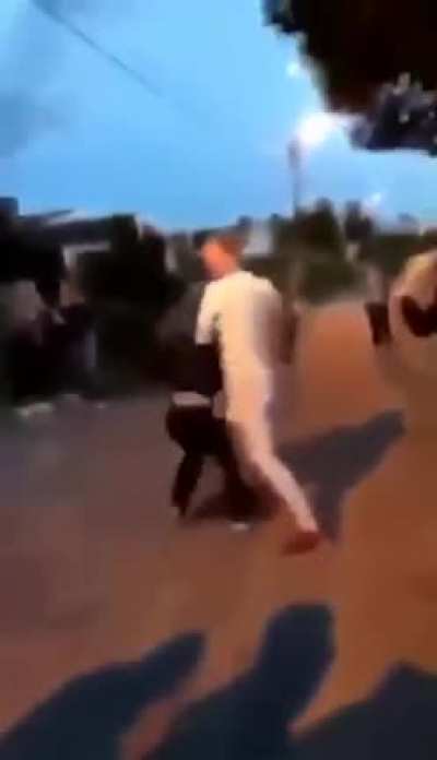 Kung fu master