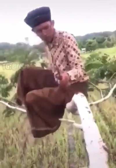I'll cut that branch off the tree, what could go wrong?