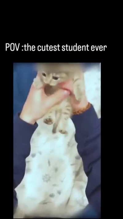 he's so small