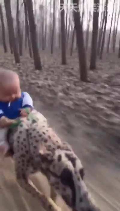 can your baby do this?