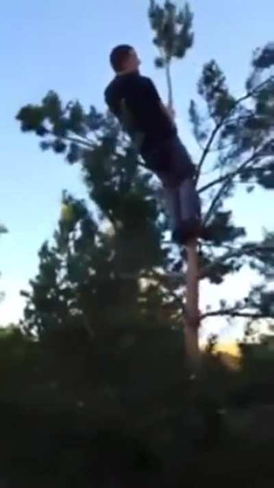 Don't Drink And Climb