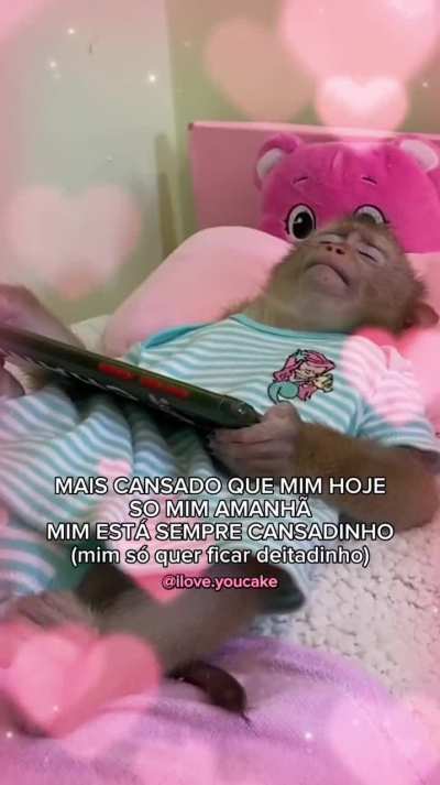 eu_nvr