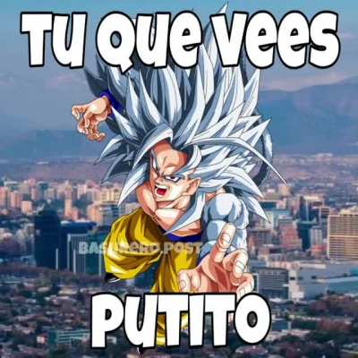 Tu que me vees fan de moai gr