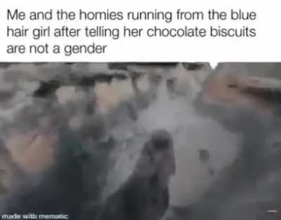 biscuits
