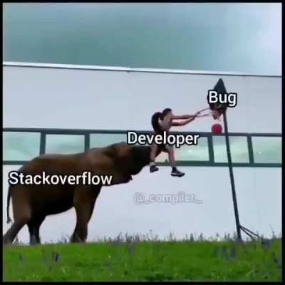Stackoverflow be like, 