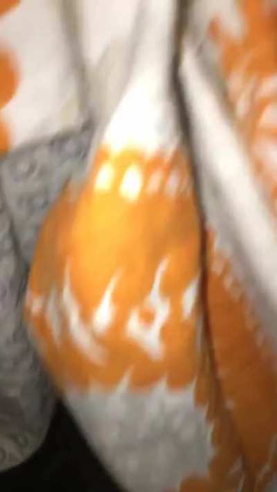My cat is the best