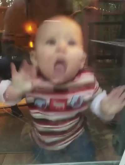 Nom nom nom nom