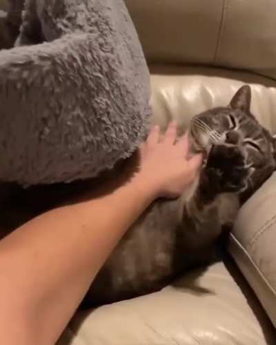 i’m in love