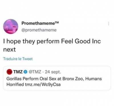 🦍Feel good 🦍
