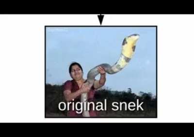 Do you like sneks?