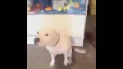 Hola Ezquizo 😳
