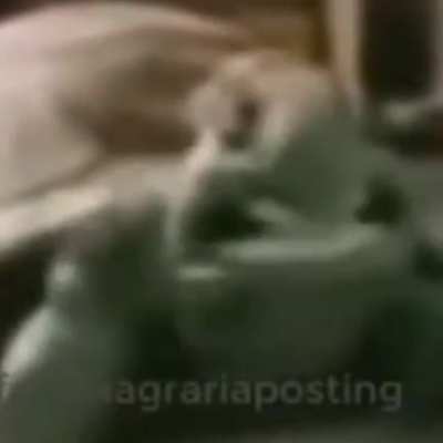 el vecino de vlascko despues de vender su caballo: