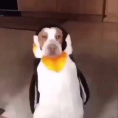 ._.
