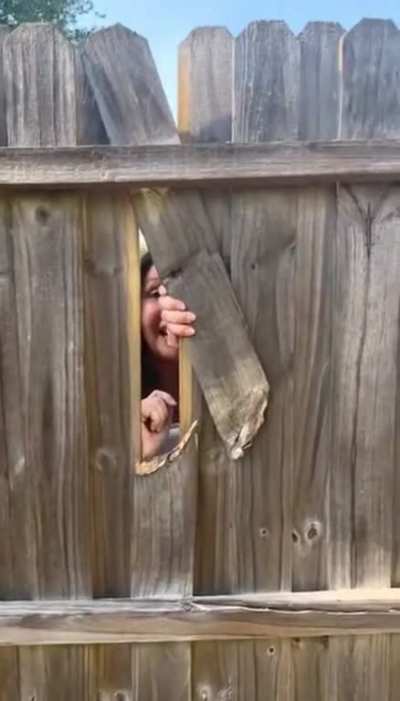 Here’s Johnny