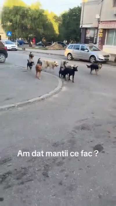 Metin2
