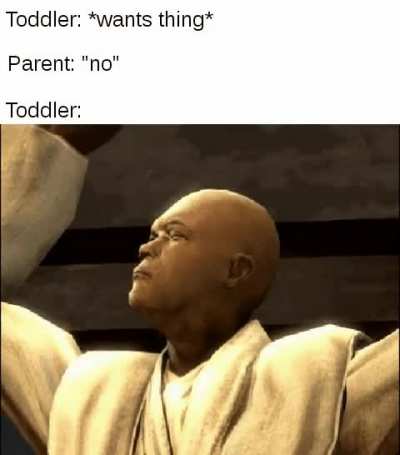*screaming and crying intensifies*
