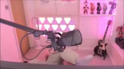 Pew pew