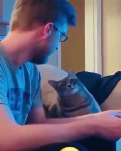 Come on!! 😹