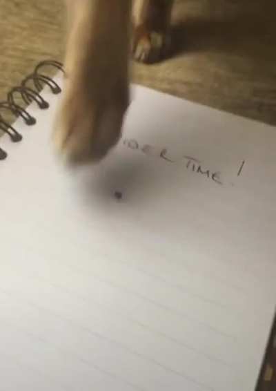 It's spider time!