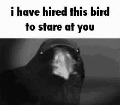 Rule