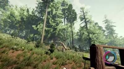 Can you catapult dynamite in The Forest?