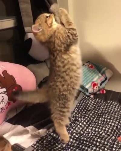 Hang in there
