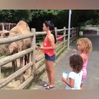 Funny animals