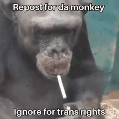 Yes