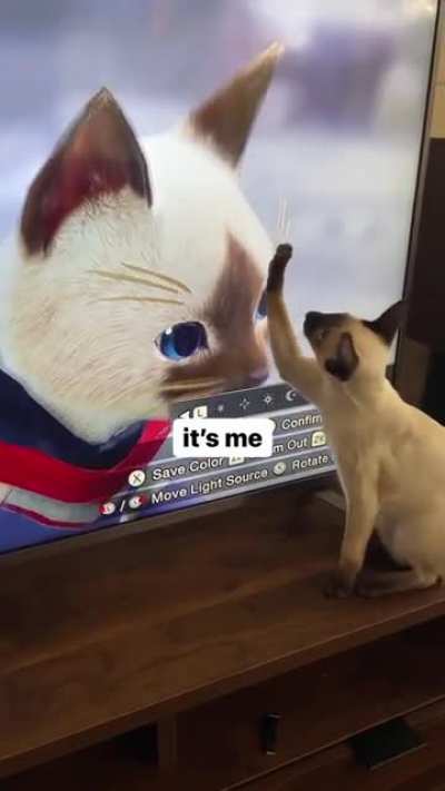 It’s me 😻
