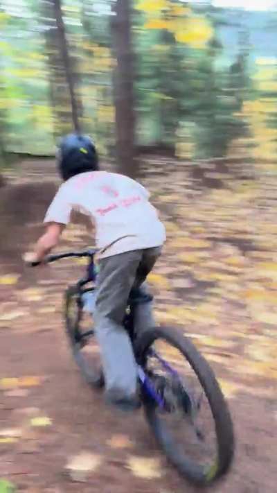 Is this a good whip