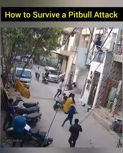 Pitbull attacks a boy (India)