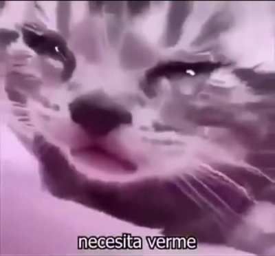 Help.