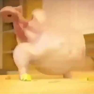 Bruh 🗿😳