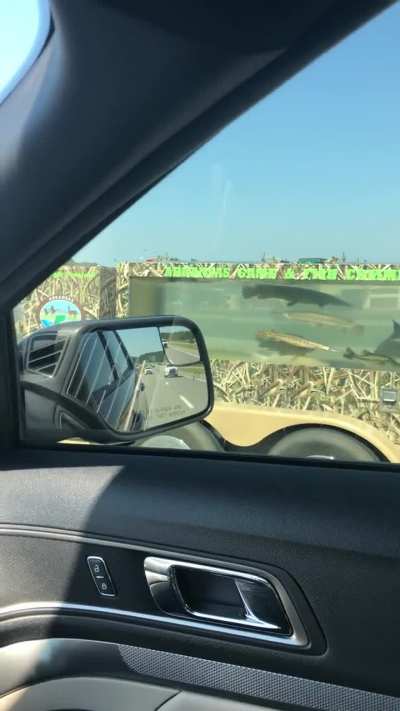 Random fish tank cruising down I49