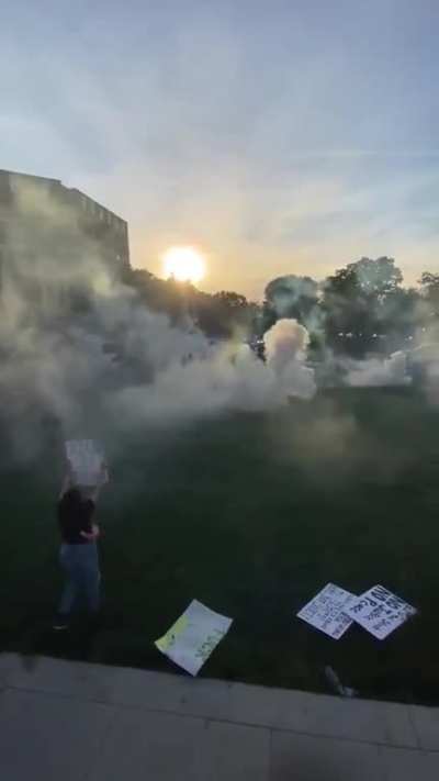 Peaceful protesters being tear gassed by officers