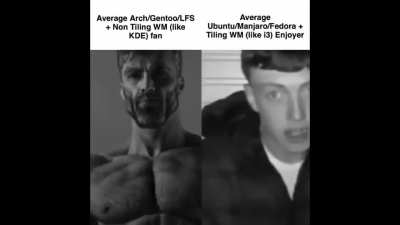 Bad chad vs good virgin