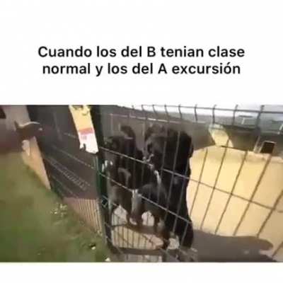 Los del A