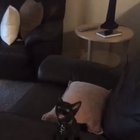 I looked into the Void, and it screamed at me