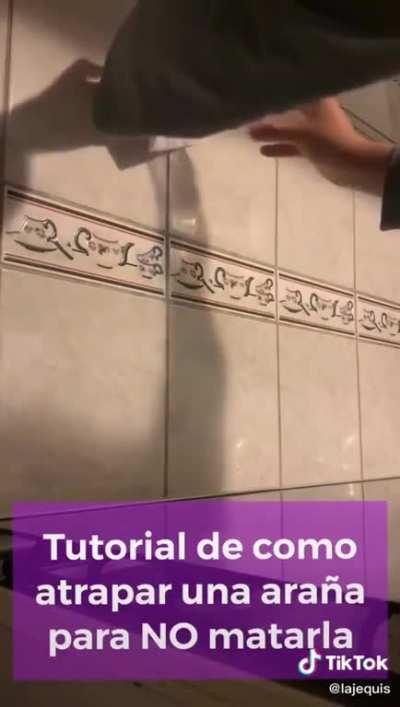 Wait for it