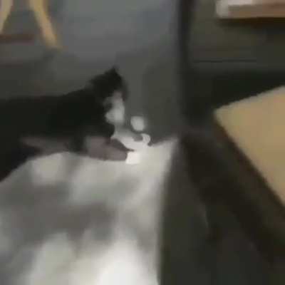 Never safe